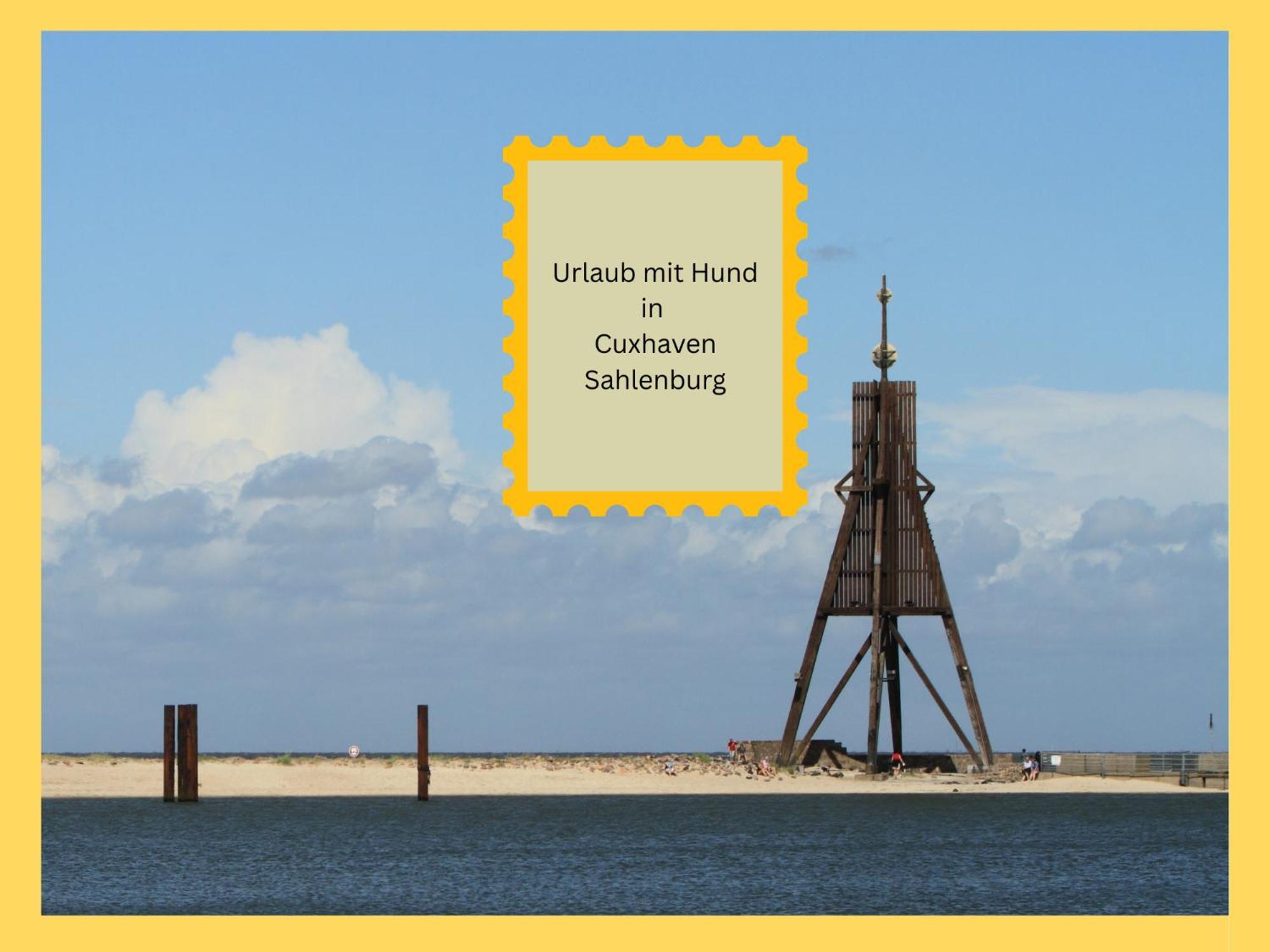 Strandloft Cuxhaven Im Haus Frauenpreiss Sahlenburg - Strandnah - 2 Hunde Willkommen -Schwimmbad - Sauna - Direkt Am Wald - Dachterrasse Mit Blick Nach Neuwerk ภายนอก รูปภาพ